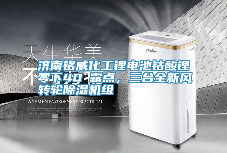 濟南銘威化工鋰電池鈷酸鋰零下40℃露點，三臺全新風(fēng)轉(zhuǎn)輪除濕機組