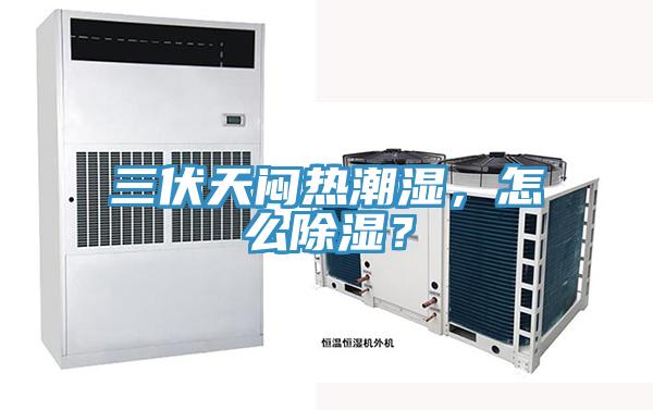 三伏天悶熱潮濕，怎么除濕？