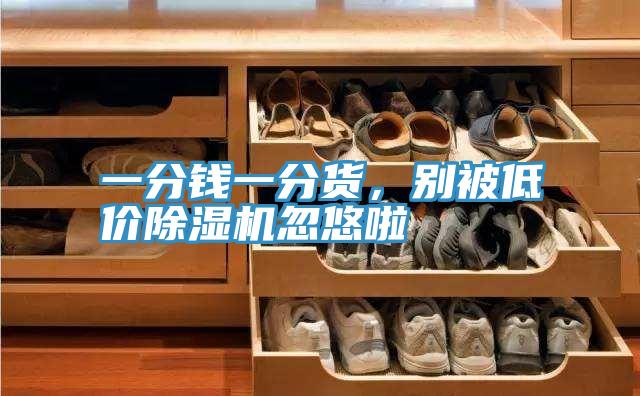 一分錢一分貨,別被低價除濕機忽悠啦