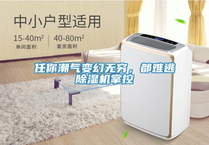 任你潮氣變幻無窮,都難逃除濕機(jī)掌控