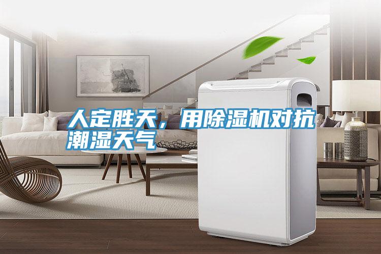 人定勝天，用除濕機對抗潮濕天氣