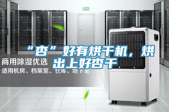 “杏”好有烘干機,烘出上好杏干