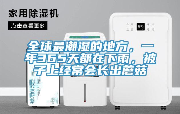 全球最潮濕的地方，一年365天都在下雨，被子上經常會長出蘑菇