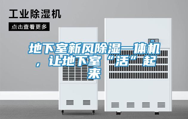 地下室新風(fēng)除濕一體機(jī),讓地下室“活”起來
