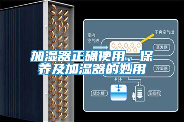 加濕器正確使用、保養及加濕器的妙用