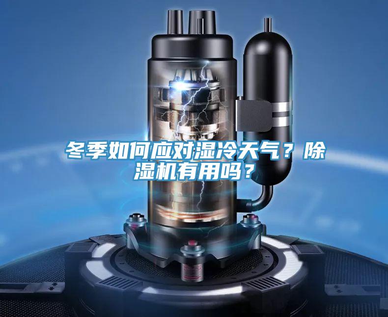 冬季如何應對濕冷天氣？除濕機有用嗎？