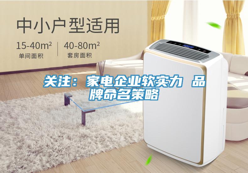 關注：家電企業軟實力 品牌命名策略