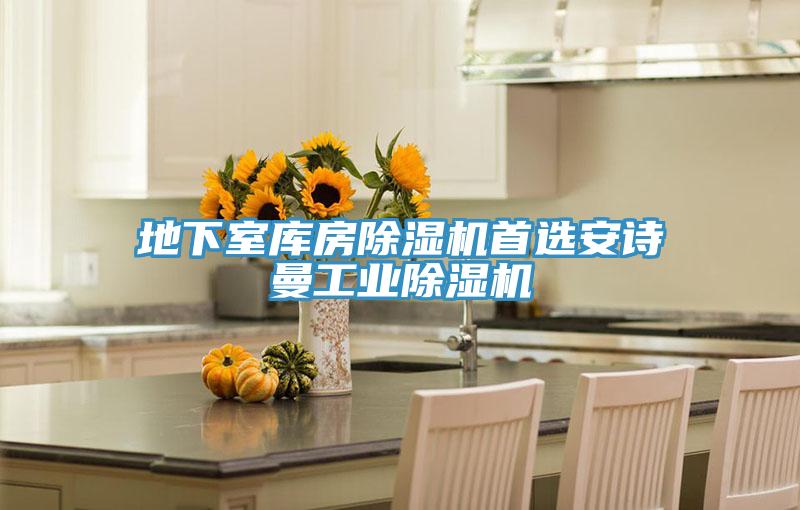 地下室?guī)旆砍凉駲C(jī)首選安詩曼工業(yè)除濕機(jī)