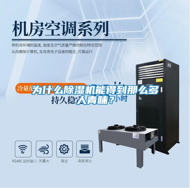 為什么除濕機能得到那么多人青睞?