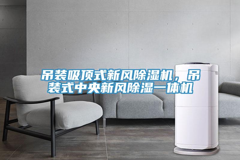 吊裝吸頂式新風除濕機，吊裝式中央新風除濕一體機