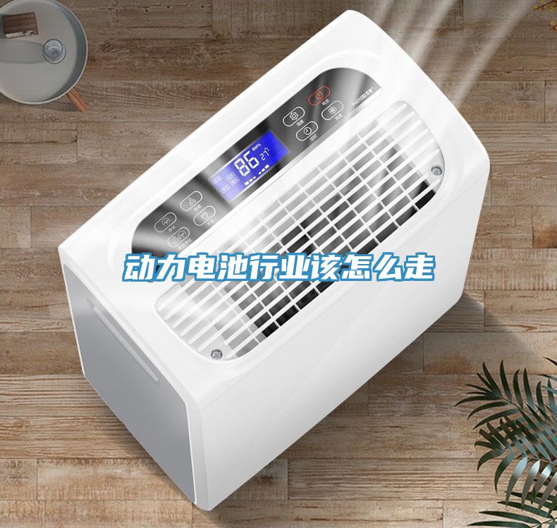 動力電池行業該怎么走