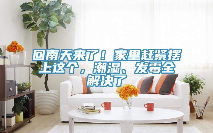 回南天來了!家里趕緊擺上這個(gè),潮濕、發(fā)霉全解決了