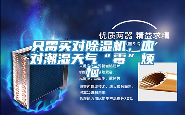 只需買對除濕機(jī),應(yīng)對潮濕天氣“霉”煩惱