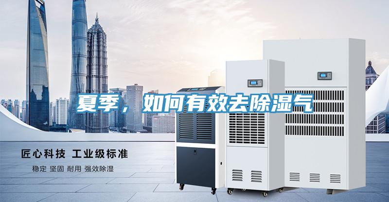 夏季，如何有效去除濕氣