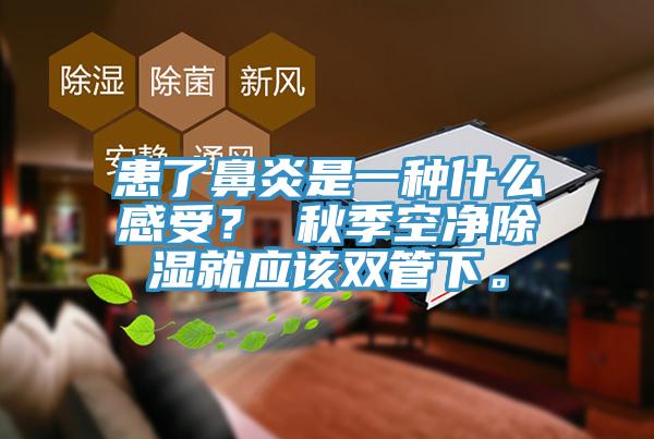 患了鼻炎是一種什么感受？ 秋季空凈除濕就應(yīng)該雙管下。