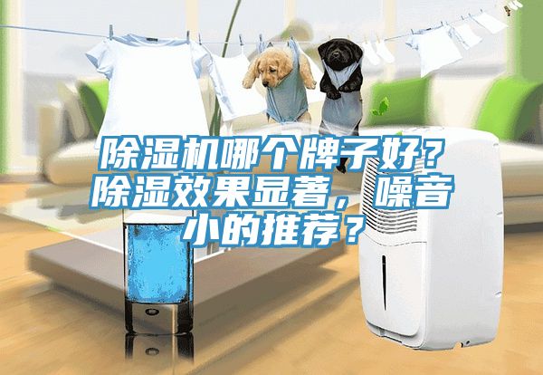 除濕機(jī)哪個牌子好？除濕效果顯著，噪音小的推薦？