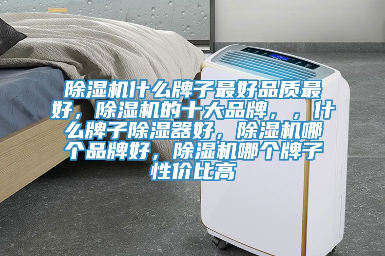 除濕機(jī)什么牌子最好品質(zhì)最好,除濕機(jī)的十大品牌,,什么牌子除濕器好,除濕機(jī)哪個品牌好,除濕機(jī)哪個牌子性價比高