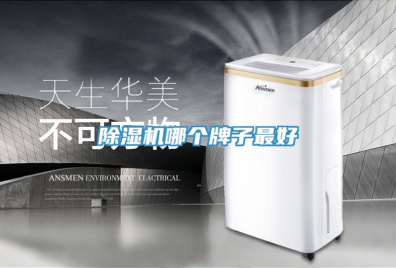 除濕機(jī)哪個牌子最好