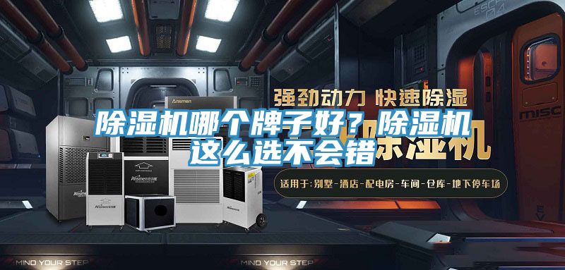 除濕機(jī)哪個牌子好？除濕機(jī)這么選不會錯