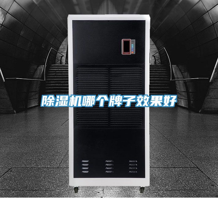 除濕機(jī)哪個牌子效果好