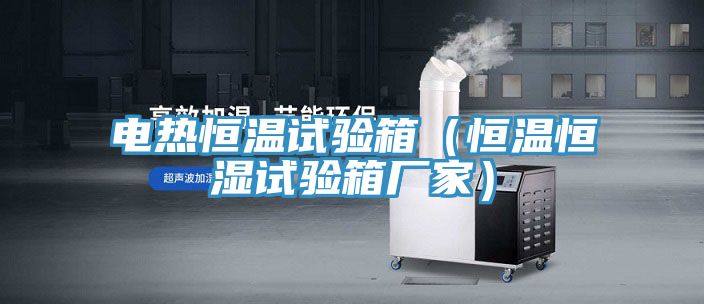 電熱恒溫試驗(yàn)箱（恒溫恒濕試驗(yàn)箱廠(chǎng)家）