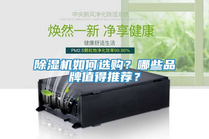 除濕機如何選購？哪些品牌值得推薦？