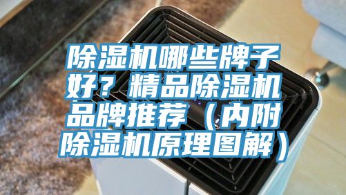除濕機哪些牌子好？精品除濕機品牌推薦（內附除濕機原理圖解）