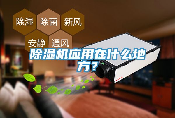 除濕機應用在什么地方?