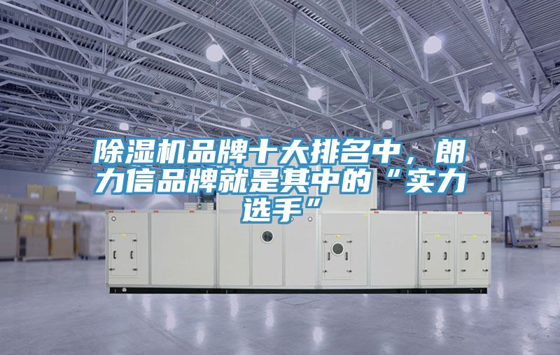 除濕機品牌十大排名中,朗力信品牌就是其中的“實力選手”