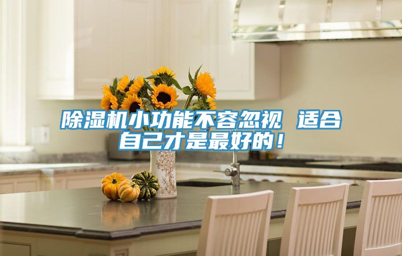 除濕機(jī)小功能不容忽視 適合自己才是最好的!