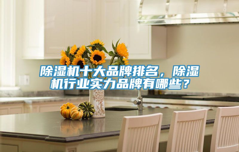 除濕機(jī)十大品牌排名,除濕機(jī)行業(yè)實(shí)力品牌有哪些?