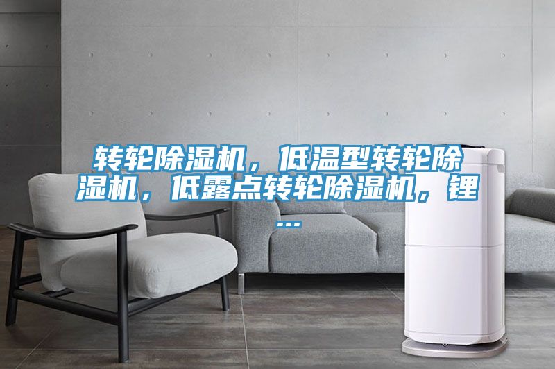 轉輪除濕機，低溫型轉輪除濕機，低露點轉輪除濕機，鋰 ...