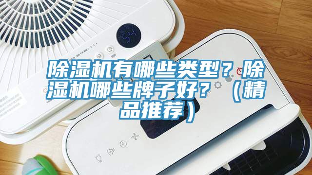 除濕機有哪些類型？除濕機哪些牌子好？（精品推薦）