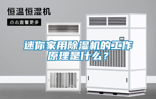 迷你家用除濕機(jī)的工作原理是什么?