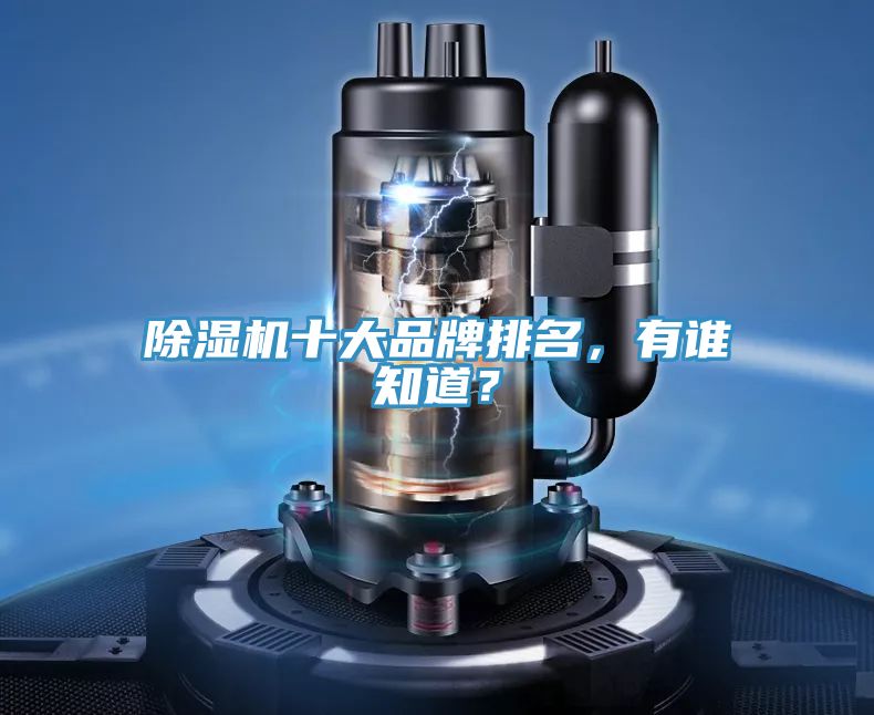 除濕機(jī)十大品牌排名,有誰知道?