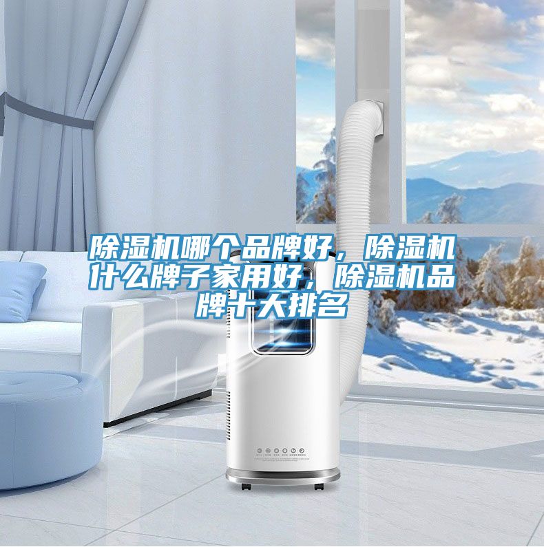 除濕機(jī)哪個品牌好，除濕機(jī)什么牌子家用好，除濕機(jī)品牌十大排名