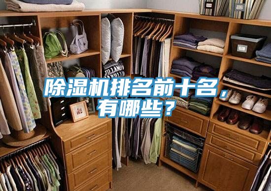 除濕機排名前十名，有哪些？