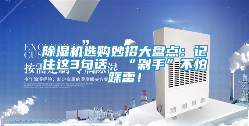 除濕機(jī)選購妙招大盤點(diǎn):記住這3句話,“剁手”不怕踩雷!