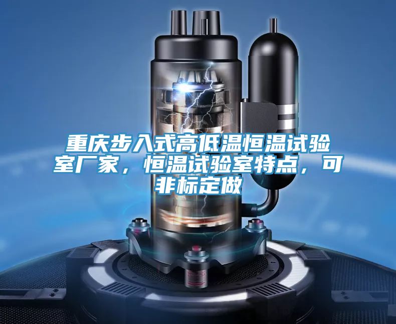 重慶步入式高低溫恒溫試驗室廠家，恒溫試驗室特點，可非標定做
