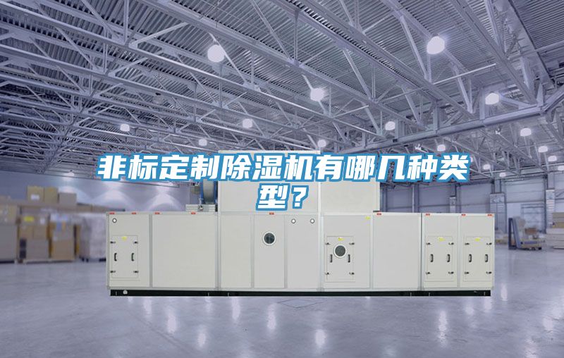 非標定制除濕機有哪幾種類型？