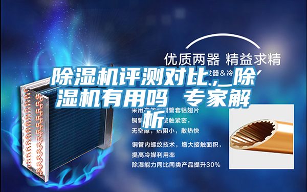 除濕機評測對比，除濕機有用嗎 專家解析