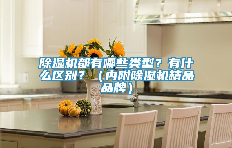 除濕機(jī)都有哪些類(lèi)型？有什么區(qū)別？（內(nèi)附除濕機(jī)精品品牌）
