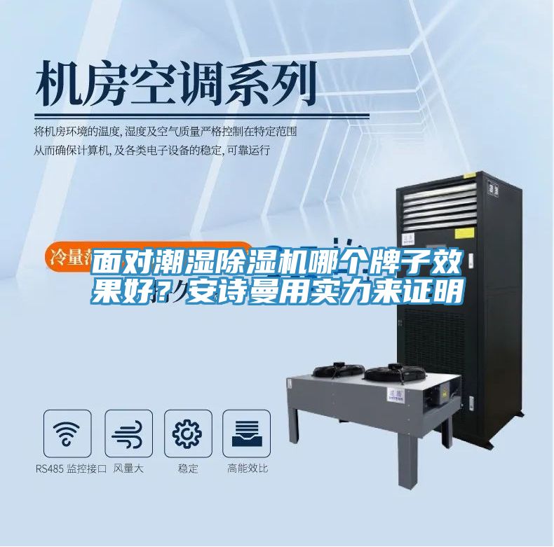 面對潮濕除濕機哪個牌子效果好？安詩曼用實力來證明