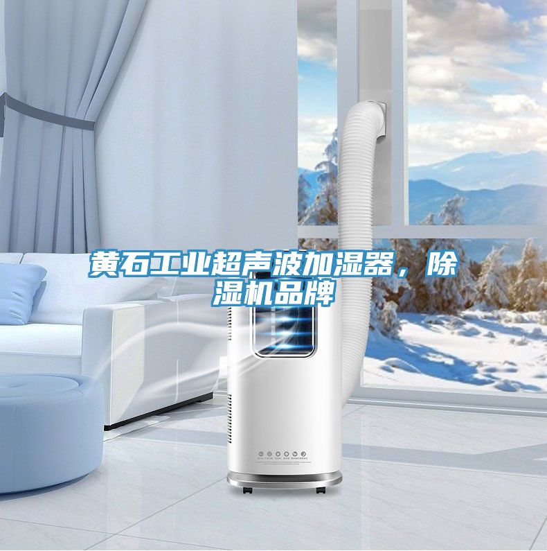 黃石工業超聲波加濕器，除濕機品牌